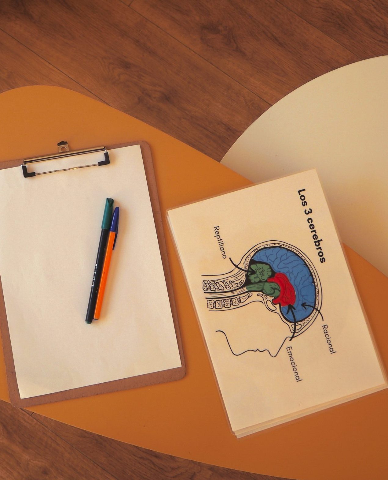 OLYMPUS DIGITAL CAMERA OLYMPUS DIGITAL CAMERA